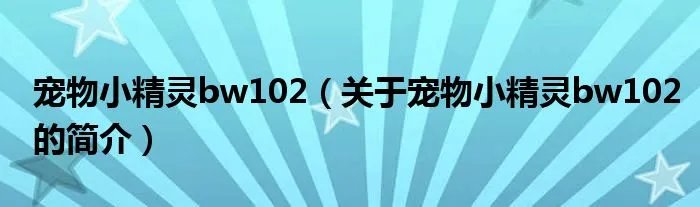 宠物小精灵bw102（关于宠物小精灵bw102的简介）