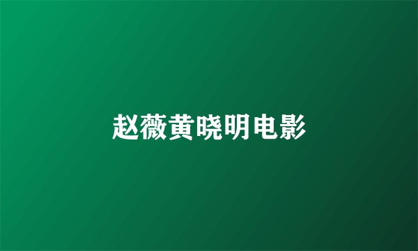 赵薇黄晓明电影