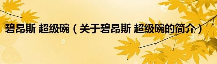 碧昂斯 超级碗（关于碧昂斯 超级碗的简介）