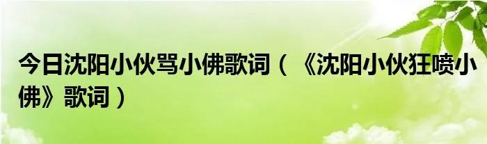 今日沈阳小伙骂小佛歌词（《沈阳小伙狂喷小佛》歌词）