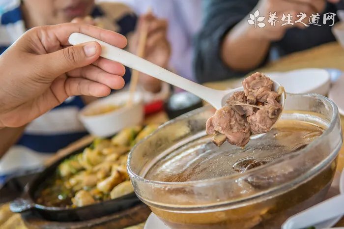 吉娃娃吃什么狗粮好呢