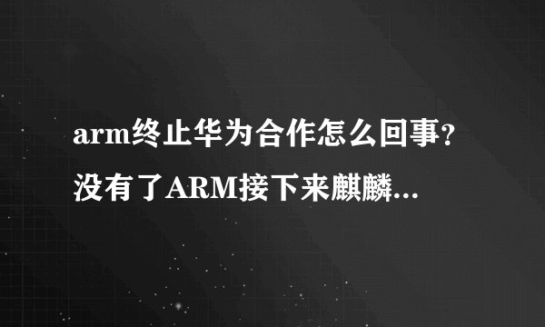 arm终止华为合作怎么回事？没有了ARM接下来麒麟芯片怎么办？