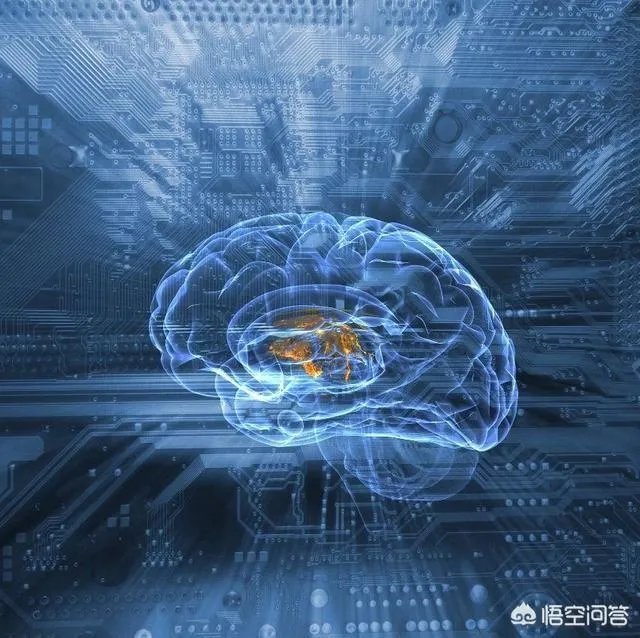 科学家成功复活死亡猪脑,意味着什么?