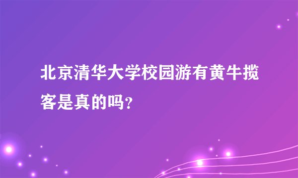 北京清华大学校园游有黄牛揽客是真的吗?