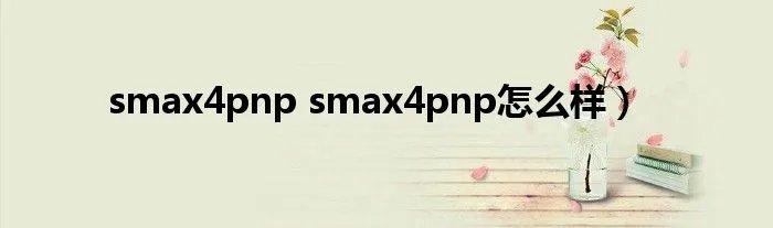 smax4pnp smax4pnp怎么样）