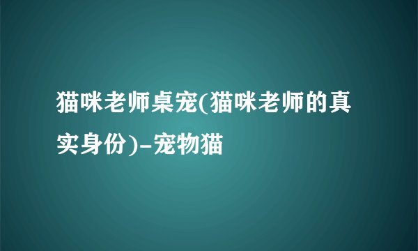 猫咪老师桌宠(猫咪老师的真实身份)-宠物猫