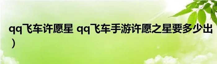 qq飞车许愿星 qq飞车手游许愿之星要多少出）
