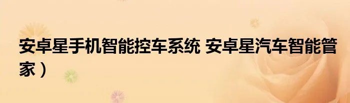 安卓星手机智能控车系统 安卓星汽车智能管家）
