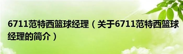 6711范特西篮球经理（关于6711范特西篮球经理的简介）