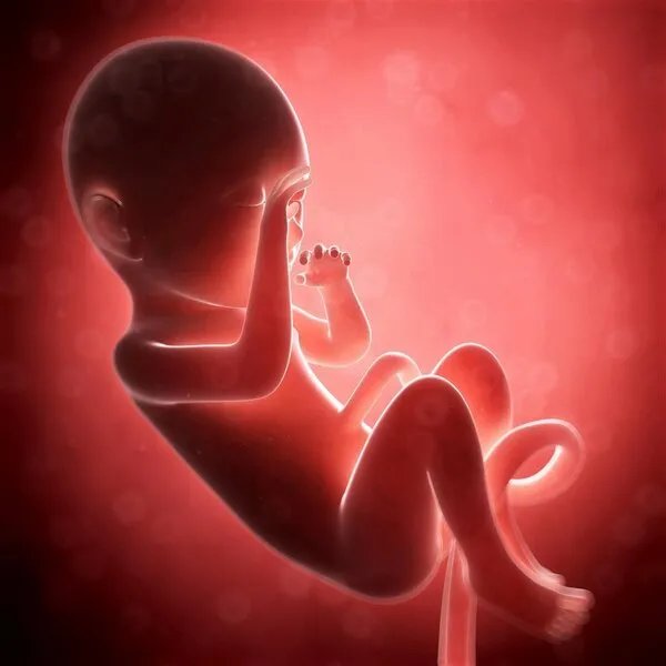 胎儿可以做亲子鉴定吗？
