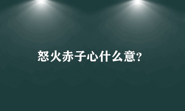 怒火赤子心什么意？