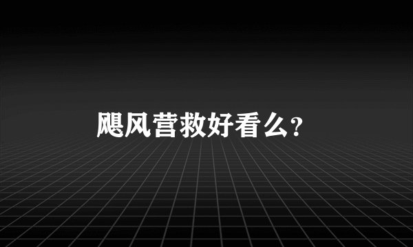 飓风营救好看么？