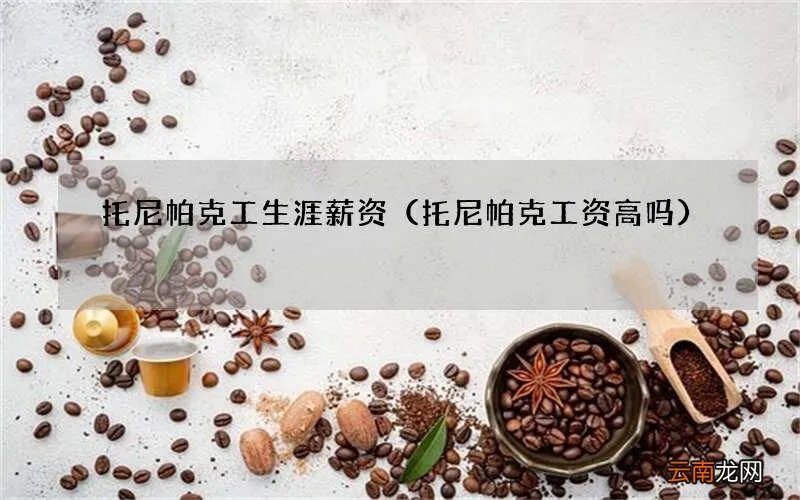 托尼帕克工资高吗 托尼帕克工生涯薪资