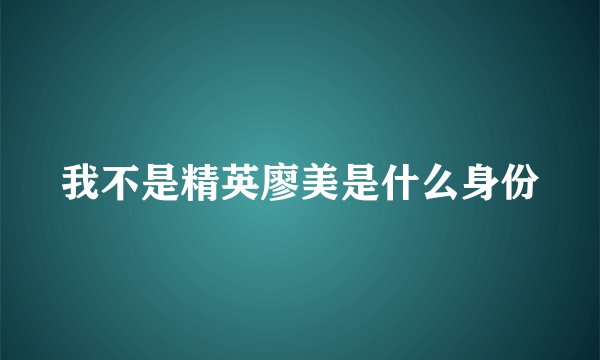 我不是精英廖美是什么身份