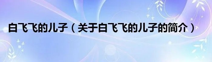 白飞飞的儿子（关于白飞飞的儿子的简介）
