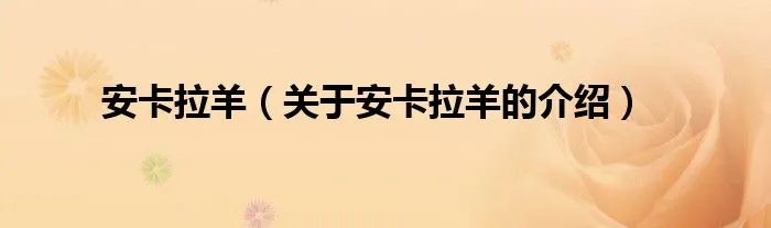 安卡拉羊（关于安卡拉羊的介绍）