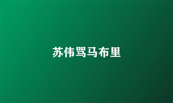 苏伟骂马布里