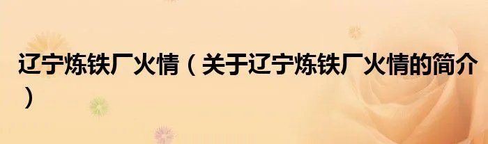 辽宁炼铁厂火情（关于辽宁炼铁厂火情的简介）