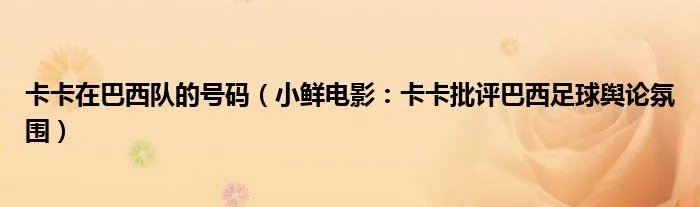 卡卡在巴西队的号码（小鲜电影：卡卡批评巴西足球舆论氛围）