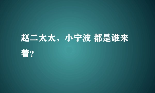 赵二太太，小宁波 都是谁来着？