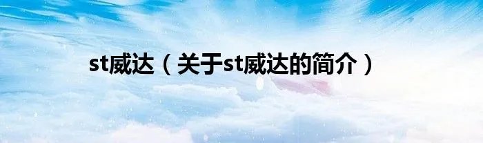 st威达（关于st威达的简介）