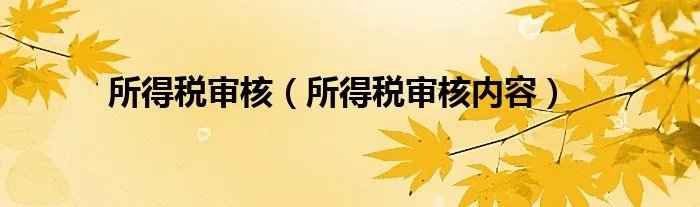 所得税审核（所得税审核内容）
