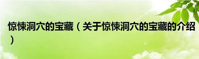 惊悚洞穴的宝藏（关于惊悚洞穴的宝藏的介绍）