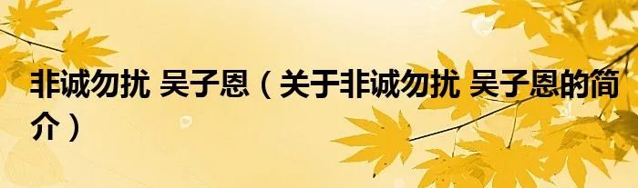 非诚勿扰 吴子恩（关于非诚勿扰 吴子恩的简介）