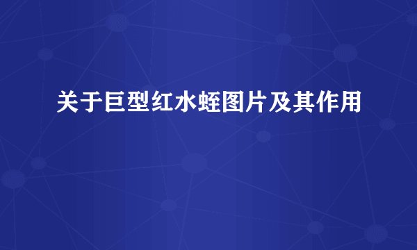 关于巨型红水蛭图片及其作用