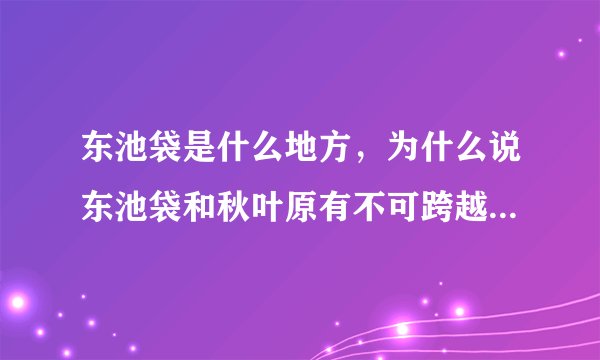 东池袋是什么地方,为什么说东池袋和秋叶原有不可跨越的障碍?