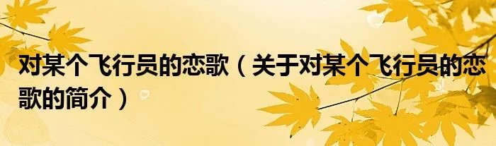 对某个飞行员的恋歌（关于对某个飞行员的恋歌的简介）