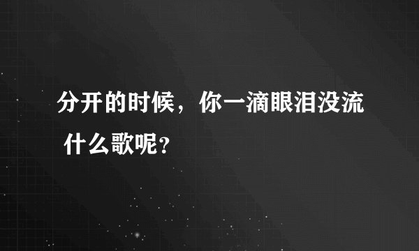 分开的时候，你一滴眼泪没流 什么歌呢？