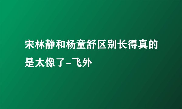 宋林静和杨童舒区别长得真的是太像了-飞外