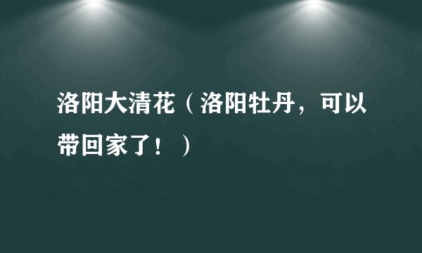 洛阳大清花（洛阳牡丹，可以带回家了！）