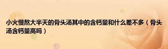 小火慢熬大半天的骨头汤其中的含钙量和什么差不多(骨头汤含钙量高吗)