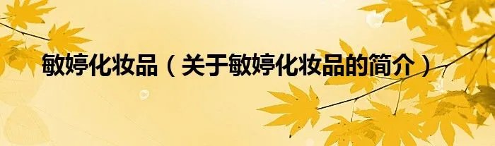 敏婷化妆品（关于敏婷化妆品的简介）