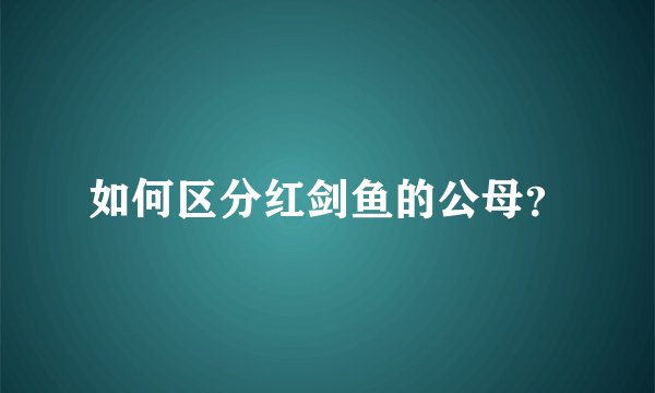 如何区分红剑鱼的公母?
