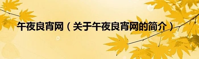 午夜良宵网（关于午夜良宵网的简介）