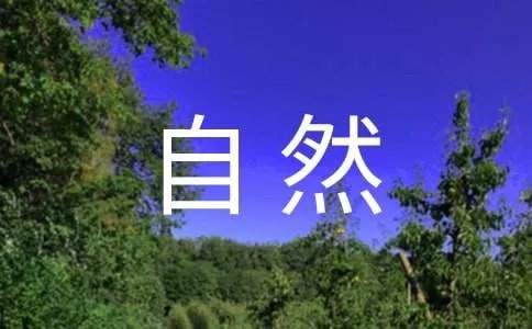 四年级写自然景观的作文