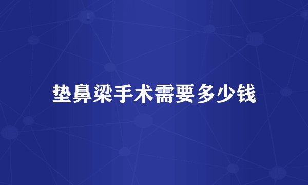 垫鼻梁手术需要多少钱