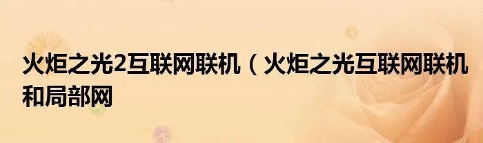 火炬之光2互联网联机（火炬之光互联网联机和局部网