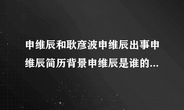 申维辰和耿彦波申维辰出事申维辰简历背景申维辰是谁的秘书申维辰