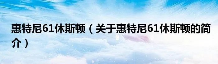 惠特尼61休斯顿（关于惠特尼61休斯顿的简介）