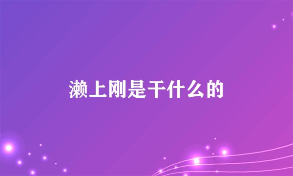 濑上刚是干什么的