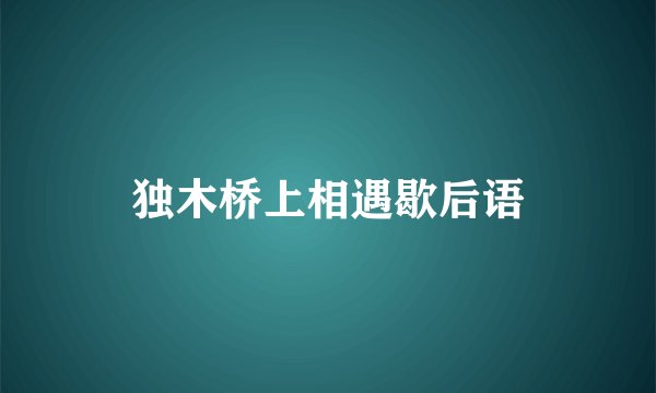 独木桥上相遇歇后语