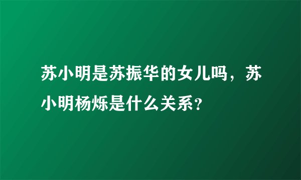 苏小明是苏振华的女儿吗，苏小明杨烁是什么关系？