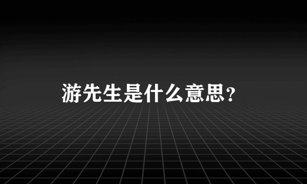 游先生是什么意思？