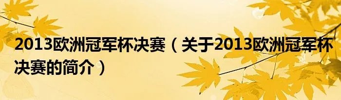 2013欧洲冠军杯决赛(关于2013欧洲冠军杯决赛的简介)