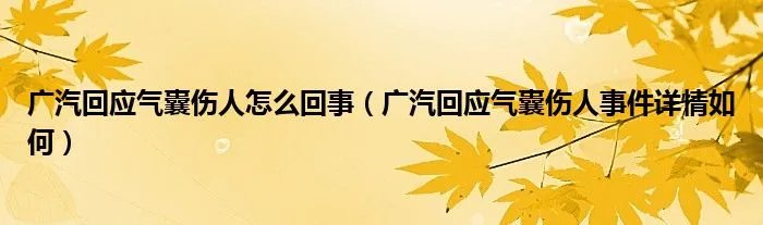 广汽回应气囊伤人怎么回事（广汽回应气囊伤人事件详情如何）