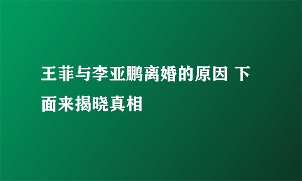 王菲与李亚鹏离婚的原因 下面来揭晓真相